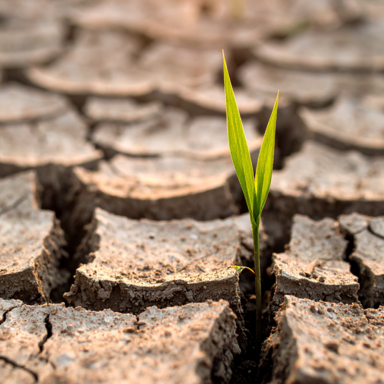 Jasmin Stocker – Psychotherapie Klagenfurt Psychotherapie Praxis Klagenfurt